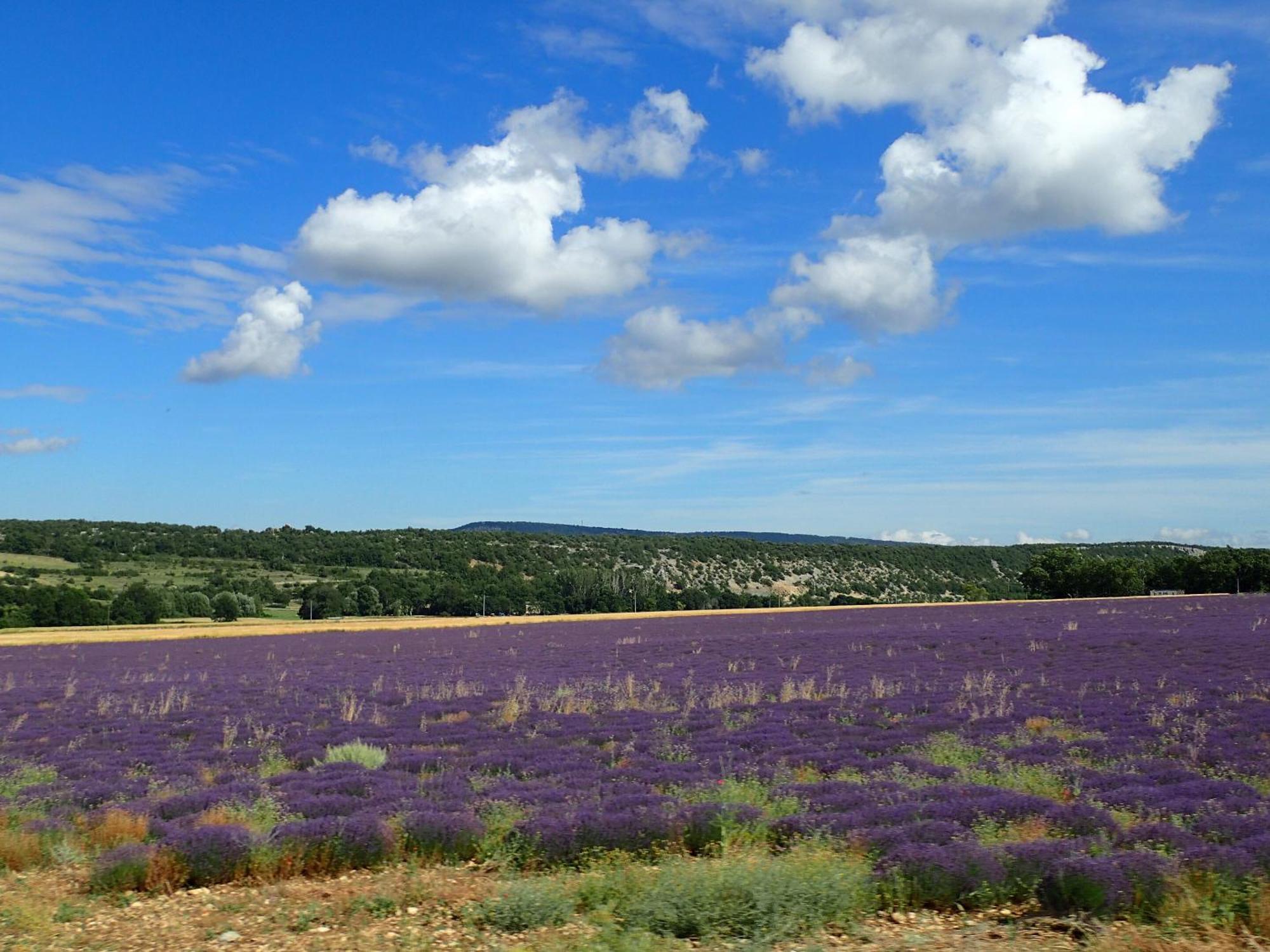 Gite De L'Aspa Saint-Christol  Dış mekan fotoğraf