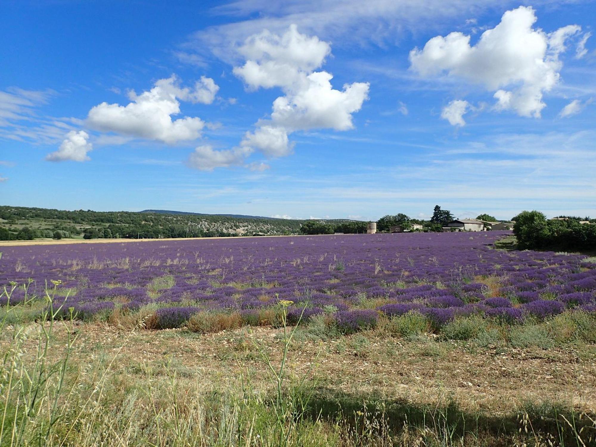 Gite De L'Aspa Saint-Christol  Dış mekan fotoğraf